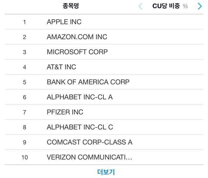 Stocks held in the Tiger American S&P 500 ETF